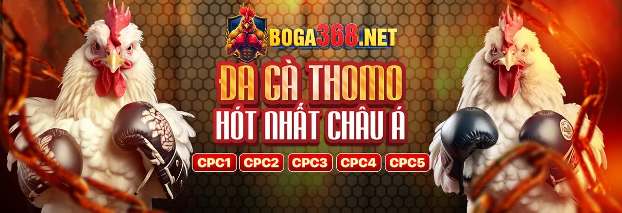 Đá Gà Philippines (Sabong)