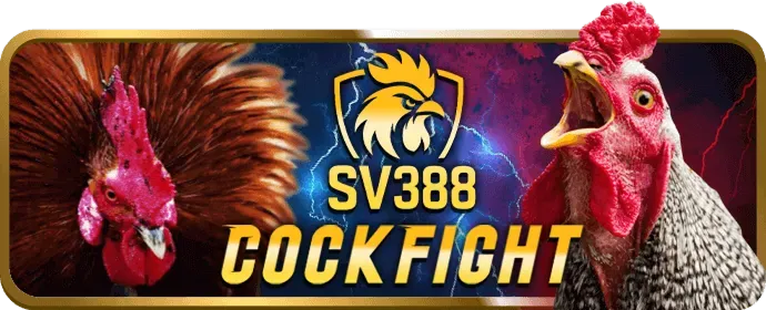 Biểu đồ tăng trưởng và tiền xu tượng trưng cho tỷ lệ cược cao tại go666 nhà cái
